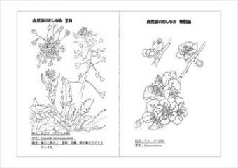 写真：植物スケッチ塗り絵7