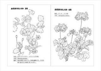 写真：植物スケッチ塗り絵8