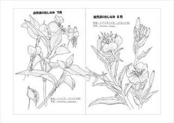 写真：植物スケッチ塗り絵3