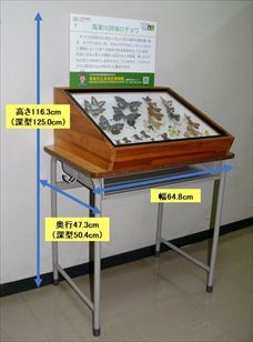 写真：標本展示セット
