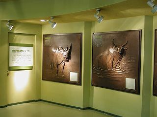 photo: Fossilized animals
