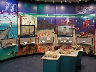 photo: History of the earth and life