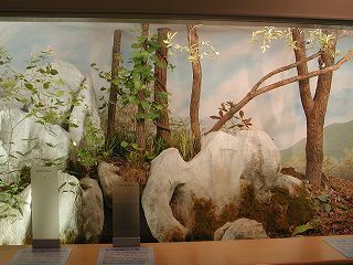 photo: 2nd Exhibition Hall02