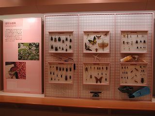 photo: 3rd Exhibition Hall01