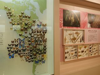 photo: 3rd Exhibition Hall02
