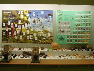 photo: 4th Exhibition Hall01