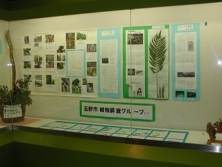 photo: Special Exhibition Hall01
