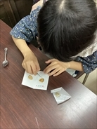 写真：チョウの鱗粉（りんぷん）転写でしおりを作ろう！