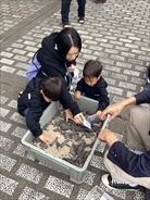 写真：化石さがし