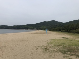 写真：清掃後01