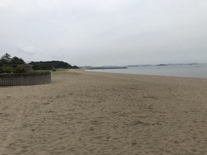 写真：清掃後02