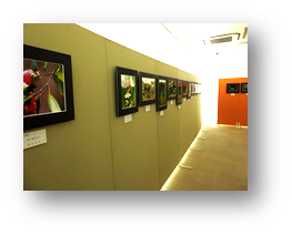 写真：エコギャラリー（展示室）03