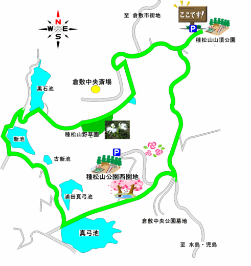 地図:種松山コース図