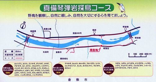 写真：真備琴弾岩コース図