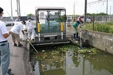 写真:現地調査の様子(早島町)