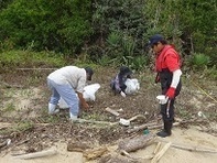 写真:現地調査の様子(笠岡市)