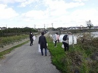 写真:現地調査の様子 倉敷市(玉島地区)