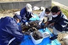 写真:現地調査の様子(里庄町)