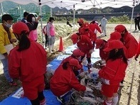 写真:現地調査の様子(高梁市)