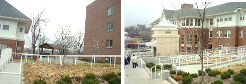 写真:UMKC02