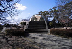 写真:向山公園 展望台