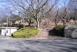 写真:向山公園 東側出入口