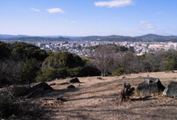 写真:東側園地の斜面