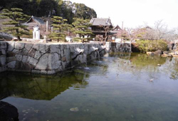 写真:下の池