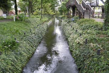 写真：園内の水路