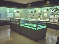 写真：第1回特別展「鶴形山の自然」特別展示室のようす
