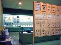 写真：第3回特別展「岡山県のチョウ」特別展示室の様子