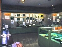 写真：第10回特別展「倉敷のいきもの」展示のようす
