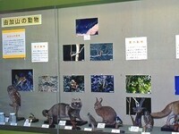 写真：第14回特別展「由加山の自然」展示のようす