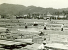 写真:建設中の真備町役場(2代目) 昭和29年5月10日