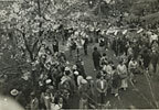 写真:酒津公園