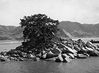 写真:生姫島