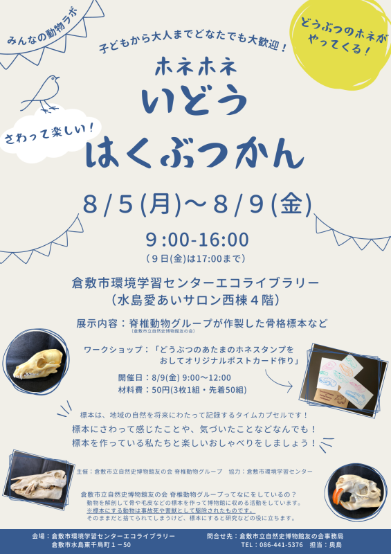チラシの写真：ホネホネチラシ