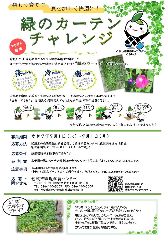 チラシの写真：緑のカーテンチャレンジ