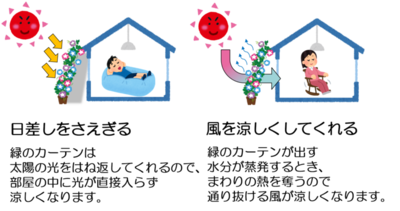 イラスト：緑のカーテンの効果