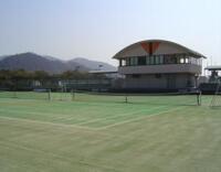 写真：福田テニス