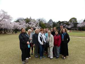 写真:桜満開の後楽園