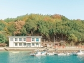 写真：松島
