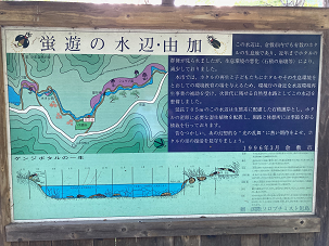 写真：蛍遊の水辺・由加