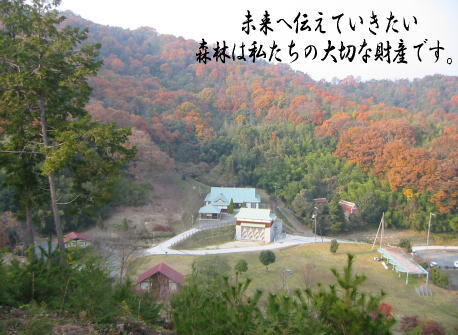 未来へ伝えていきたい　森林は私たちの大切な財産です。