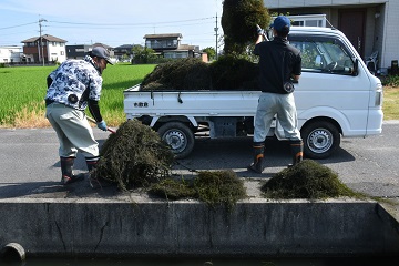 写真:回収される藻