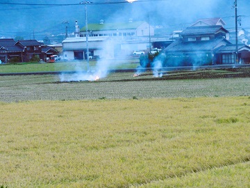 写真：野焼きの様子1