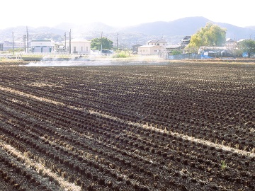 写真：野焼きの様子2