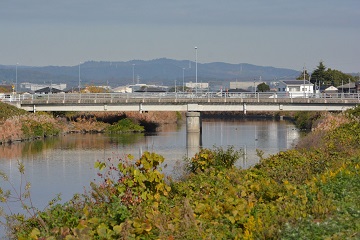 写真:桜橋