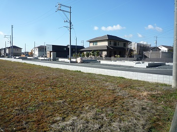 写真：稲田と住宅地