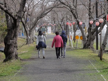 写真：桜並木を歩く人